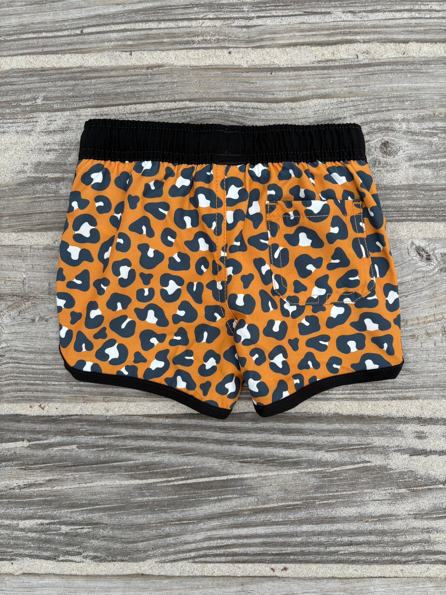 Cheetah